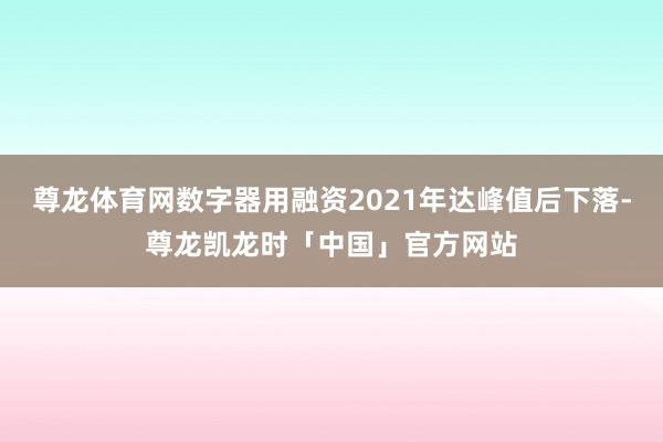 尊龙体育网数字器用融资2021年达峰值后下落-尊龙凯龙时「中国」官方网站