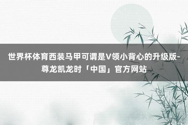 世界杯体育西装马甲可谓是V领小背心的升级版-尊龙凯龙时「中国」官方网站