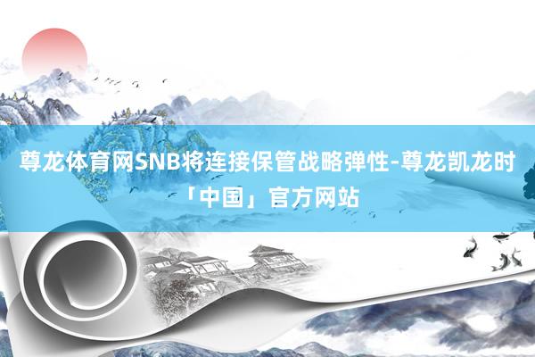 尊龙体育网SNB将连接保管战略弹性-尊龙凯龙时「中国」官方网站