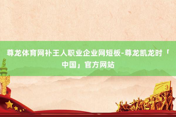 尊龙体育网补王人职业企业网短板-尊龙凯龙时「中国」官方网站