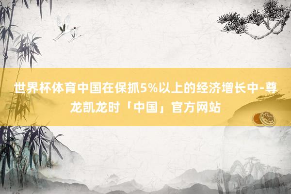 世界杯体育中国在保抓5%以上的经济增长中-尊龙凯龙时「中国」官方网站