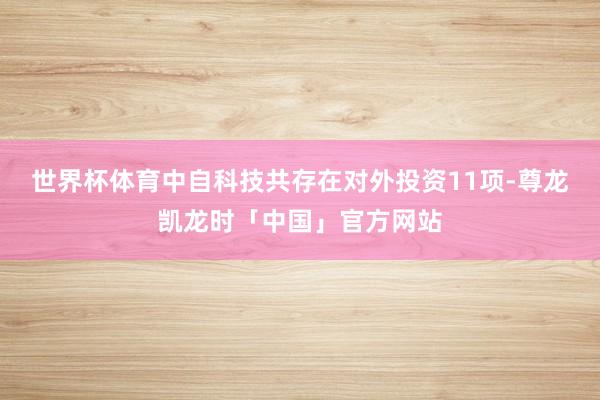 世界杯体育中自科技共存在对外投资11项-尊龙凯龙时「中国」官方网站