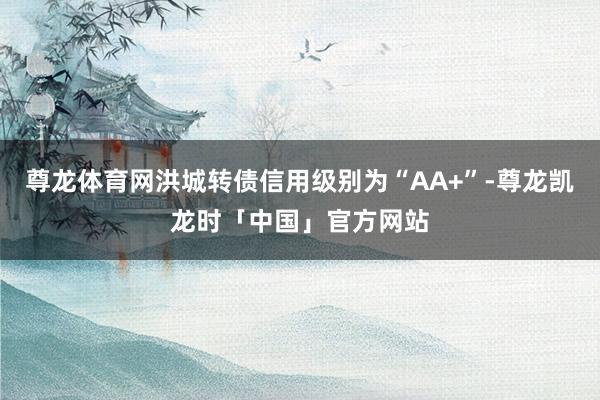 尊龙体育网洪城转债信用级别为“AA+”-尊龙凯龙时「中国」官方网站