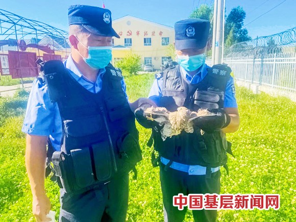 暖心！边境民警救助国家二级保护动物  “红隼”