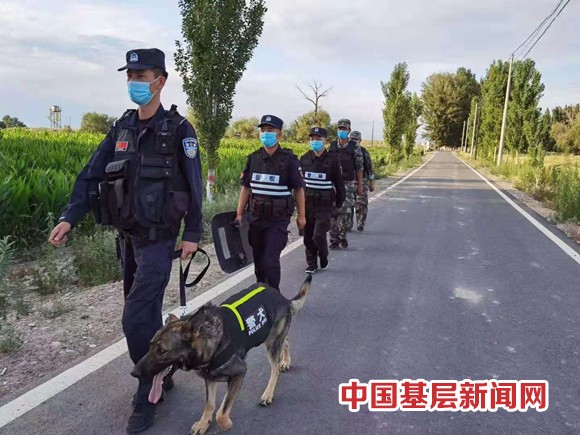 警犬勤务忙 备战保安全