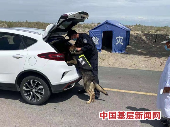 警犬勤务忙 备战保安全