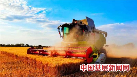 亩产858.72公斤！奇台农场冬小麦刷新全疆最高记录