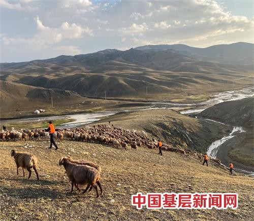 暴雨山洪走散近千只羊“迷路” 移民警察翻山越岭上演“赶羊记”