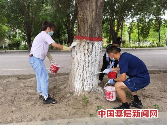 “蓝朋友”变身“城市美容师”为树木“刷白”换新装