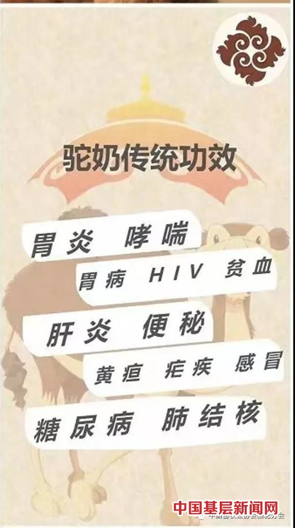 纯驼奶 才真有效