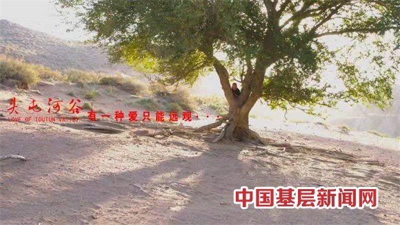 新疆本土电影《头屯河谷》在乌鲁木齐103电影公园举办首映式
