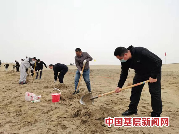 播种春天新希望 植树添绿正当时