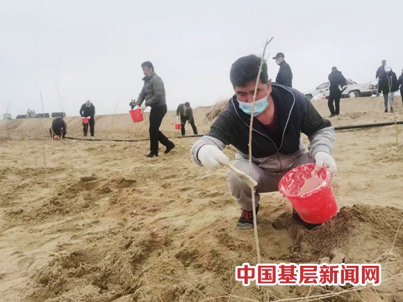 播种春天新希望 植树添绿正当时