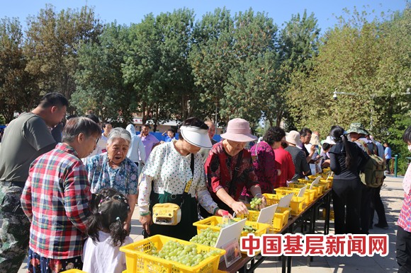  二二一团首届葡萄文化艺术节启幕